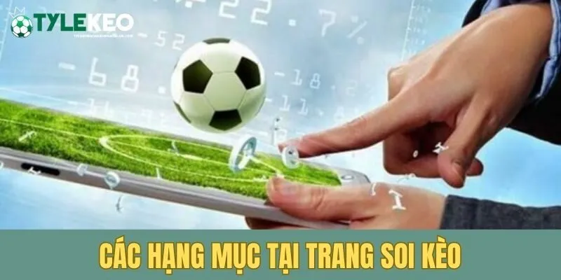 Các hạng mục được hệ thống cập nhật soi kèo