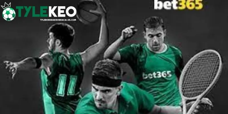 Chiến thuật cải thiện tỷ lệ thắng cá cược