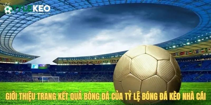 Giới thiệu chung nền tảng xem kết quả bóng đá