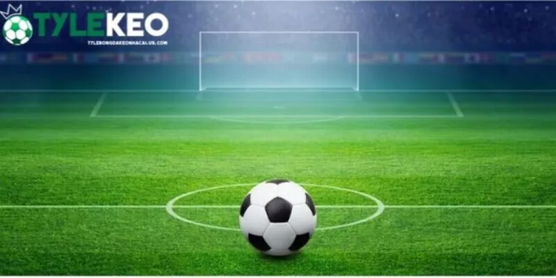 kèo 1/2 thuật ngữ