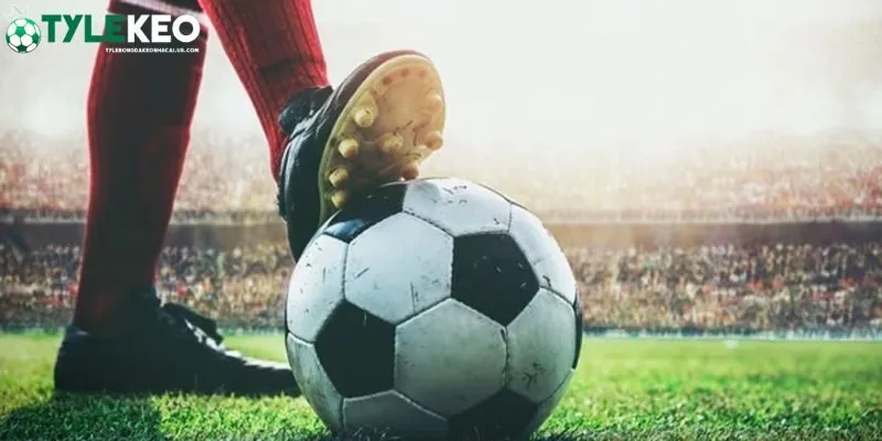 Ví dụ về cách đọc kèo 1/1.5 dễ hiểu