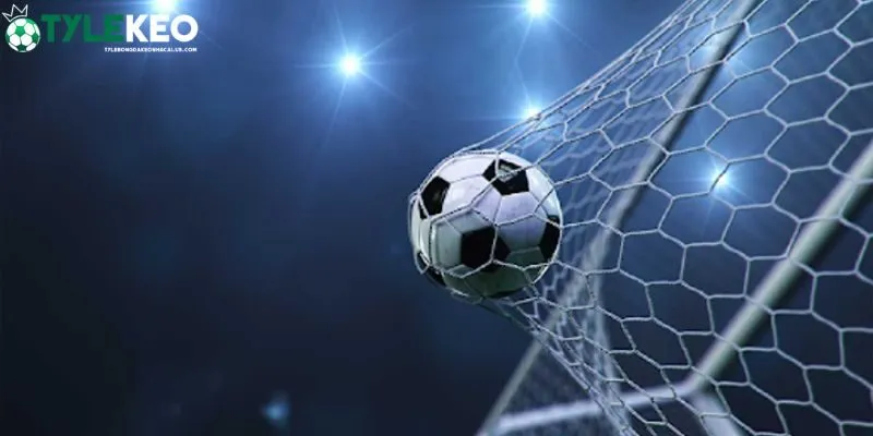 Ghi nhớ một số lưu ý để có trải nghiệm thuận lợi 