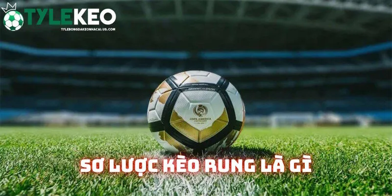 Tìm hiểu nhanh kèo rung là gì