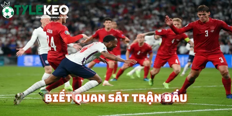 Biết quan sát trận đấu mã kèo rung là gì