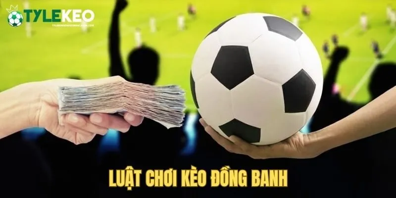 Luật chơi được quy định rõ