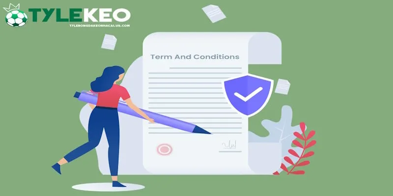 Những lưu ý quan trọng khi tham khảo khảo chính sách điều khoản tại tylekeo