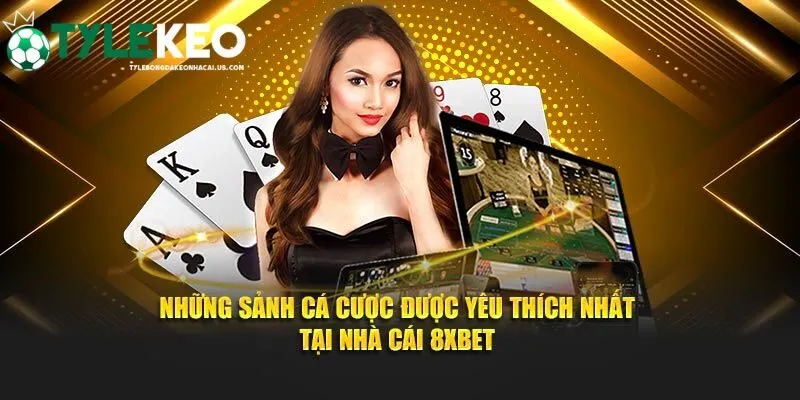 Tổng hợp top các danh mục nhận được nhiều sự quan tâm