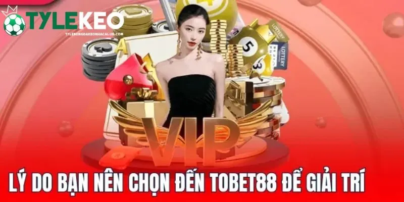 Top các lý do không nên bỏ qua Tobet88